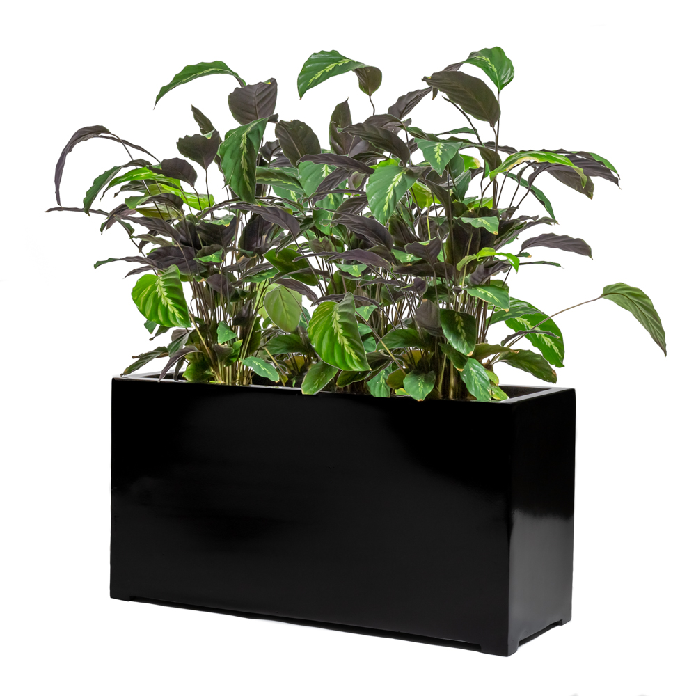 Fioriera cubica alta in polystone nero lucido - 80cm 299,99 €