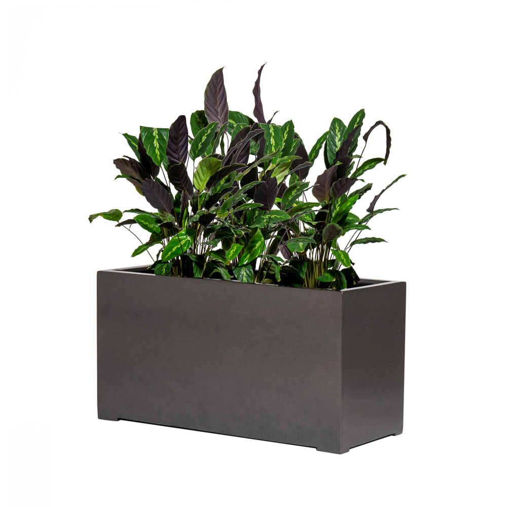 Fioriera cubica rettangolare bassa in polystone grigio metallizato - 100cm  219,99 €