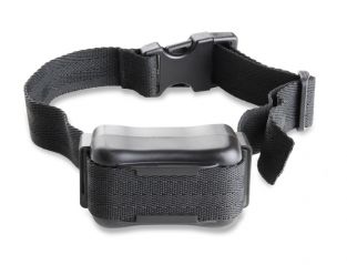 Sistema Invisibile Anti-Fuga per Cani 240,99 €