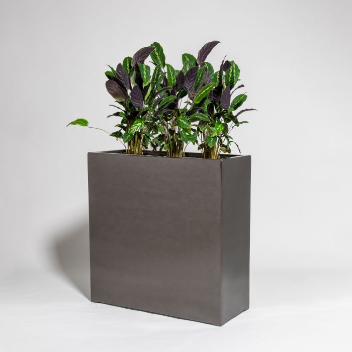Vaso per piante rettangolare